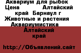 Аквариум для рыбок › Цена ­ 1 900 - Алтайский край, Барнаул г. Животные и растения » Аквариумистика   . Алтайский край